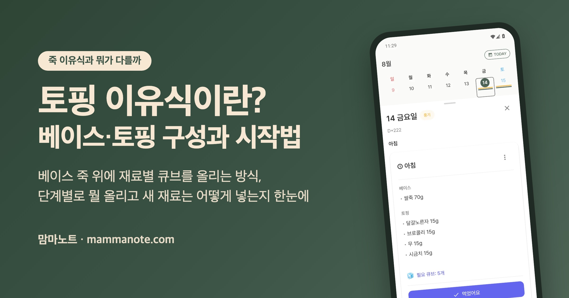 토핑 이유식이란? 베이스·토핑 구성과 시작법