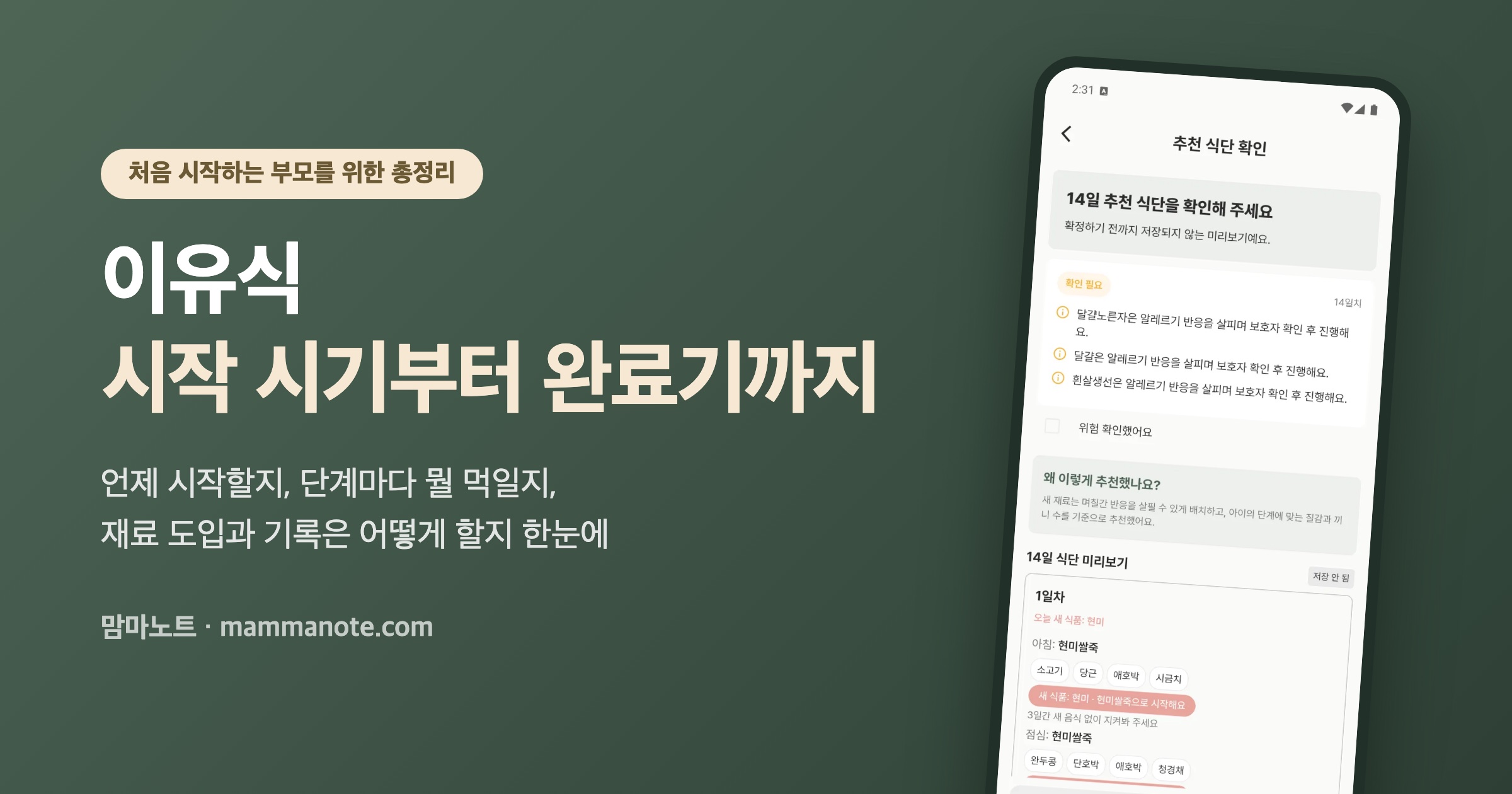 이유식 시작 시기부터 완료기까지, 단계별 총정리